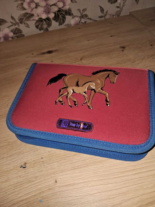 Ортопедичний рюкзак Step by Step (Німеччина) для дівчинки + комплект