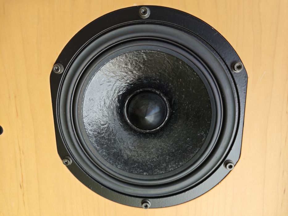 Kolumny T+A criterion TCI 1RE unikat