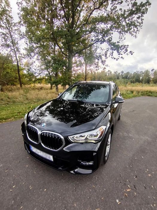 BMW X1 BMW X1 M-Pakiet Ledy Skóry Asystenci Kamery Panorama Keyless Alu