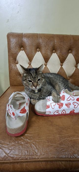 Босоніжки, взуття для  дівчинки розмір 34