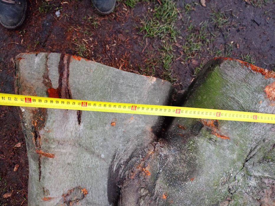 Чудовий стіл дизайнерський.  Дерево бук.