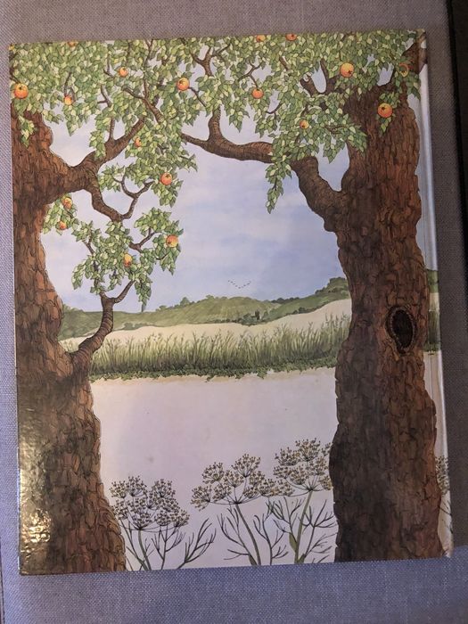 A viagem do senhor sapo