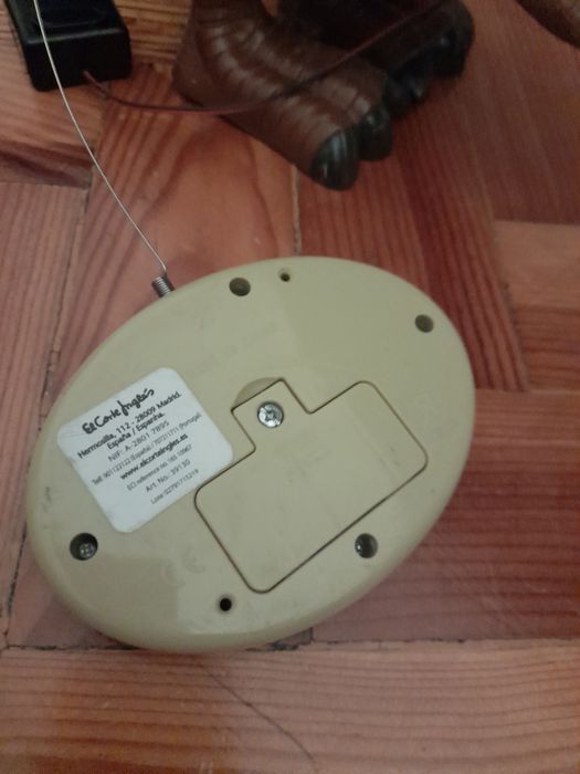 Dinossauro T-Rex telecomandado