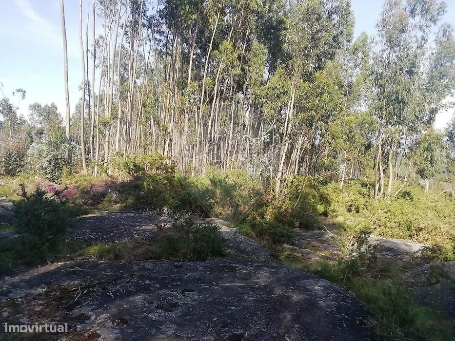 Terreno  para venda — Briteiros São Salvador E Briteiros Santa Leocádia, Braga