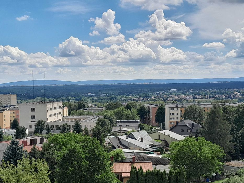 Zdjęcie 7