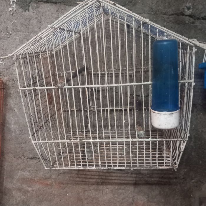 Gaiolas de exposiçãos