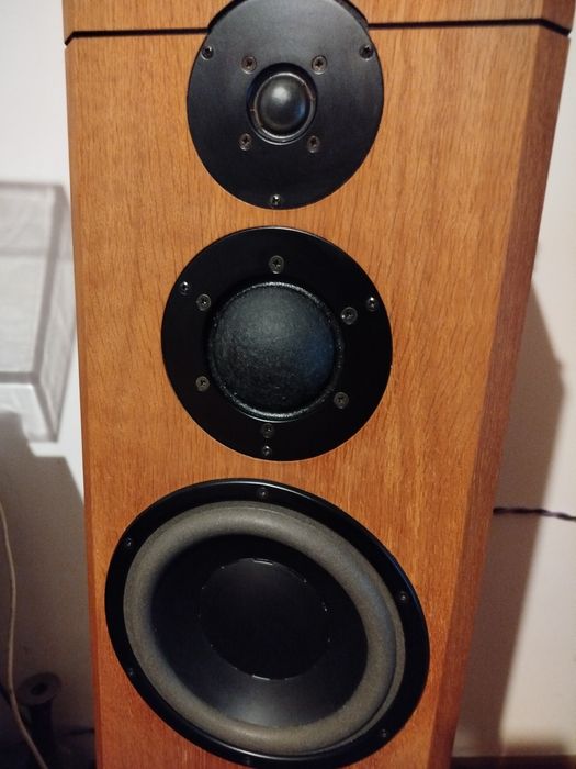 Dynaudio Xennon 3.Contour. Oryginal Dynaudio.