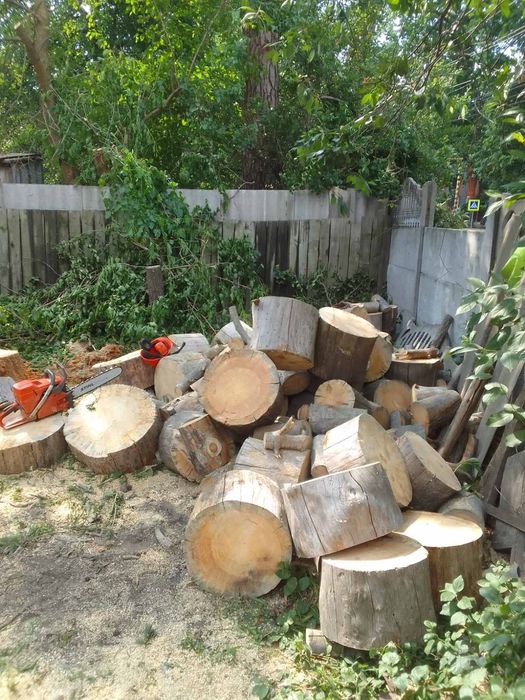 Видалення дерев Корчування пнів Благоустрій.Є послуги ЩЕПОРІЗА