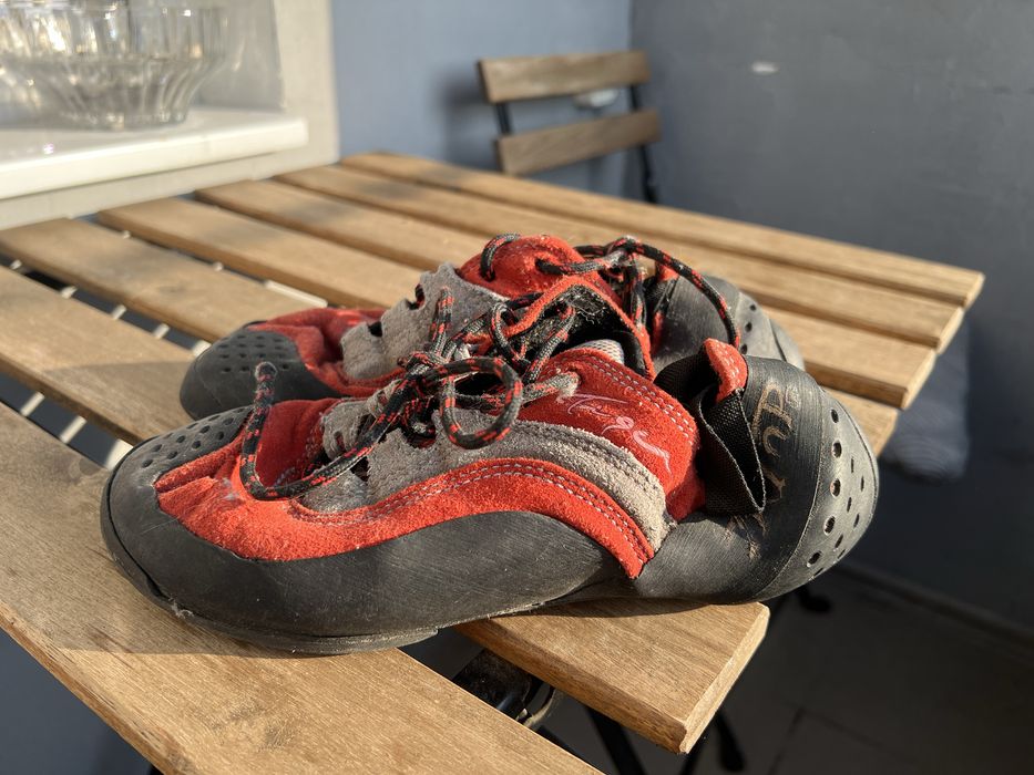 Скельники замшеві