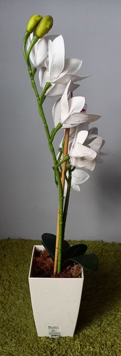 Sztuczny Storczyk w doniczce duży 72cm biały