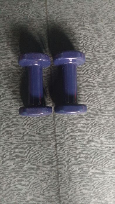2 halteres de 2kg cada