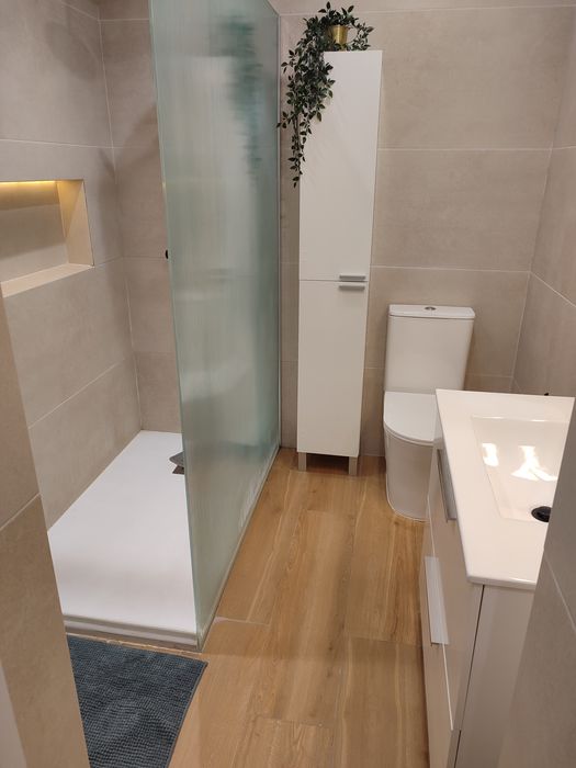 Limpeza Profissional