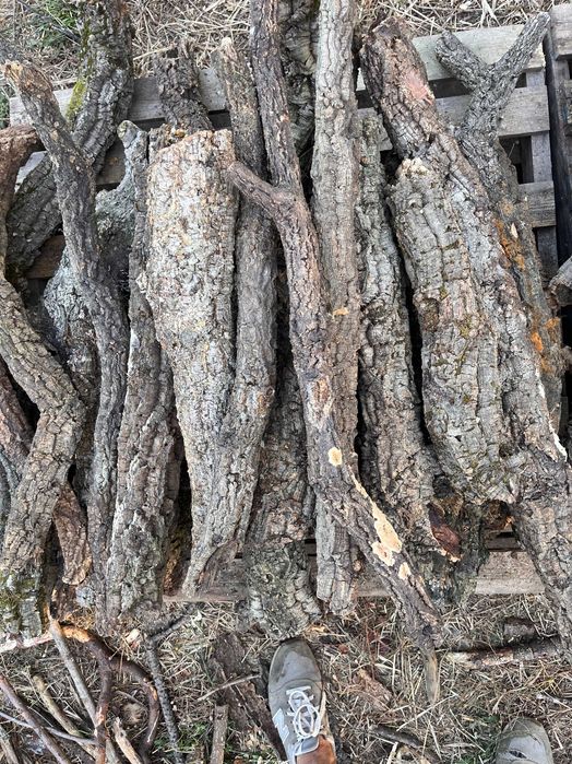 Casca de Sobreiro Ideal para Terrários e Decoração