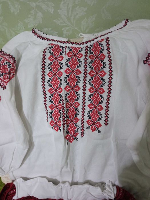 Вишиванка  та спідниця плахта