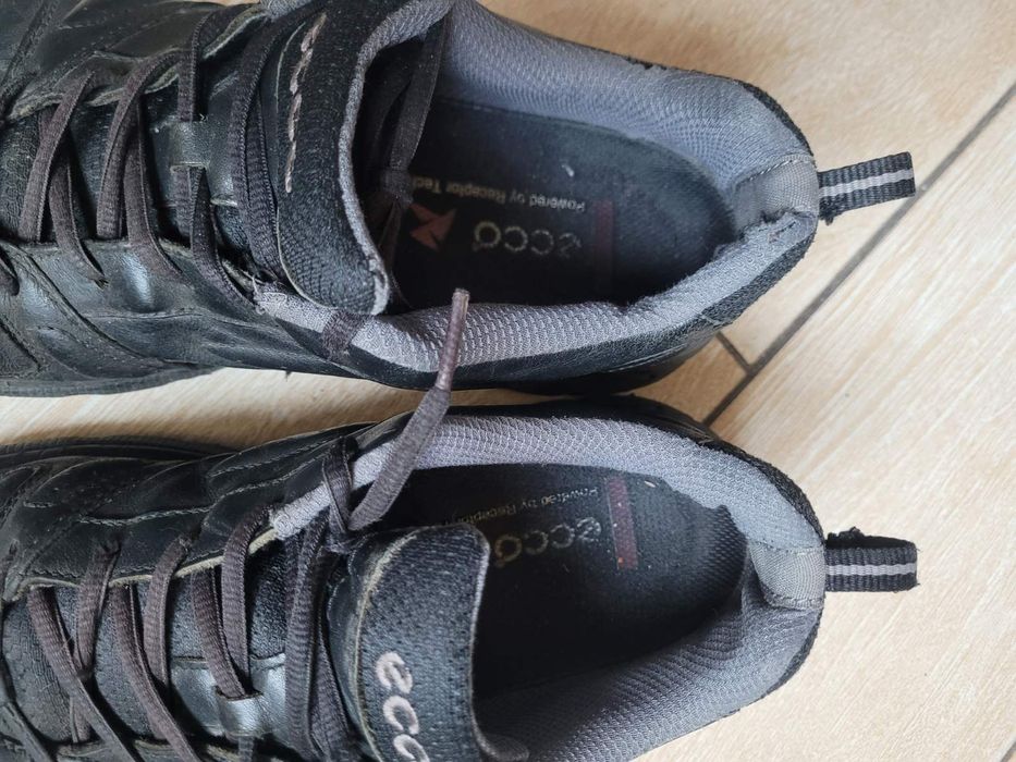 41р.,Ecco натуршкіра