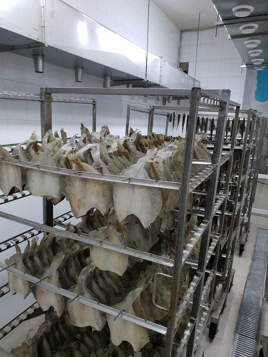 Камера для охолодження риби (Львів, Винники, Трускавець) 0 + 8 °C