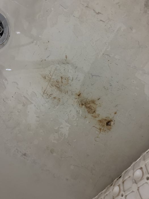Casa de banho completa TUDO 150€