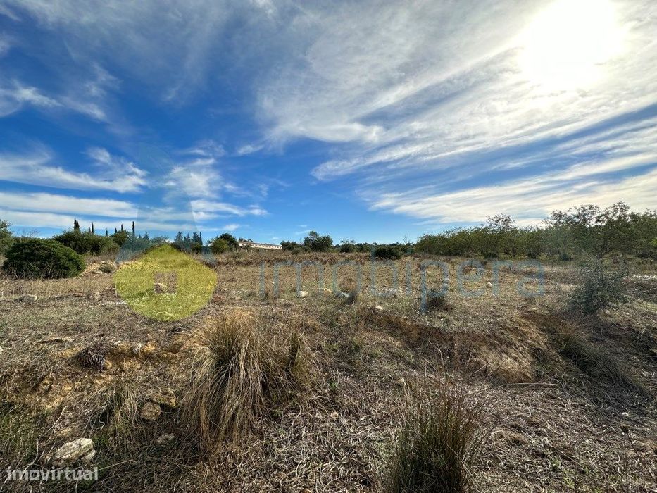 Terreno agrícola para investimento em Algoz