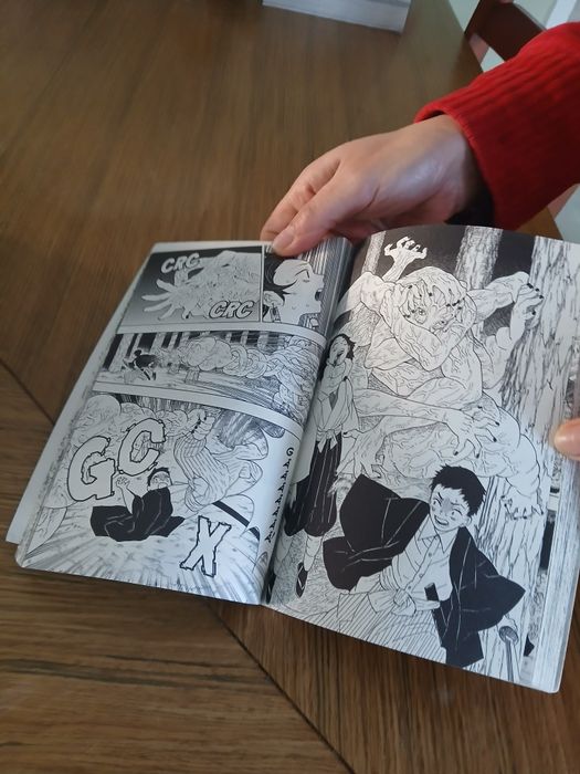 Mangas demon slayer ( 1 ao 11)- 7€ cada