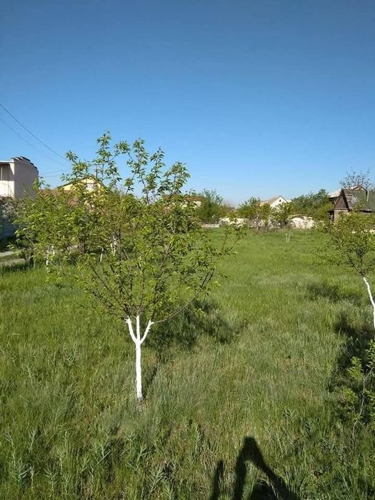 Продається ділянка 8соток в Партизанського, товариство Акація.