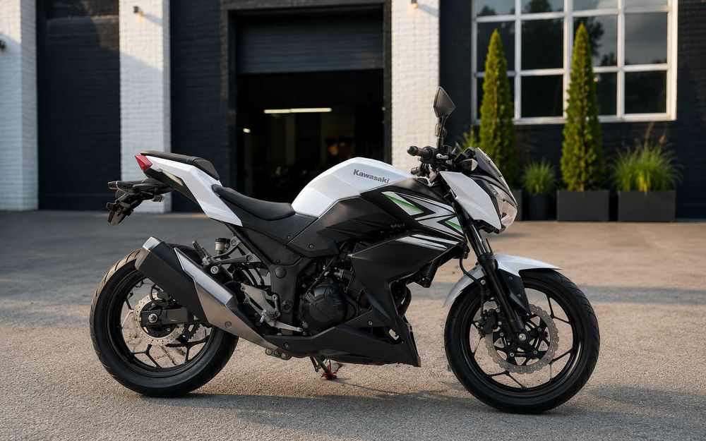 Kawasaki Z250 2013 рік, білий, пробіг лише 6 872 км