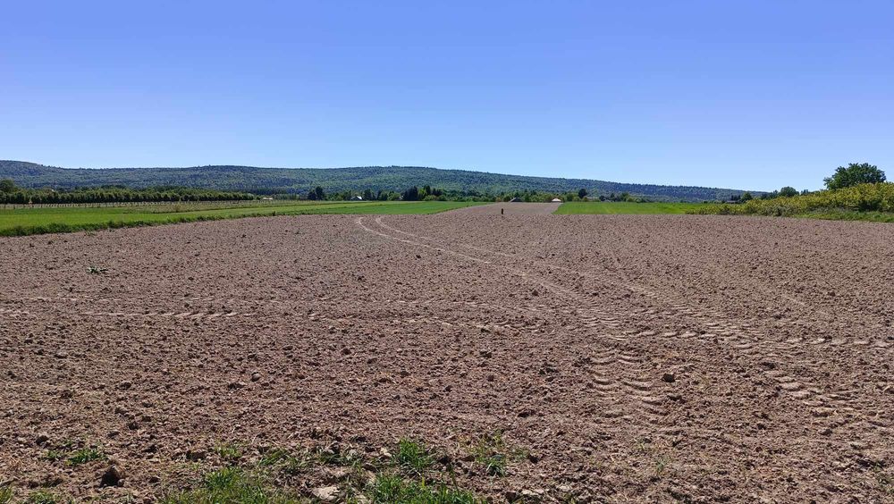 Działka rolna o pow. 4200m2