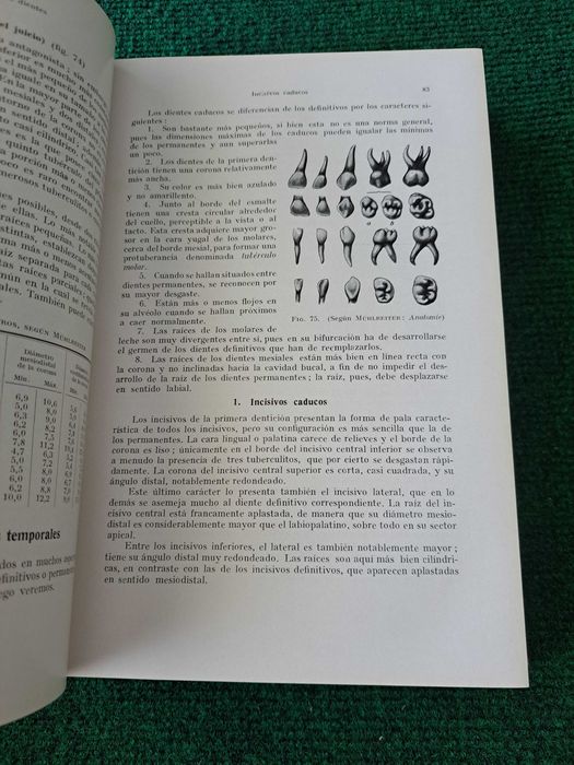 Tratado de Odontologia - Pirt
