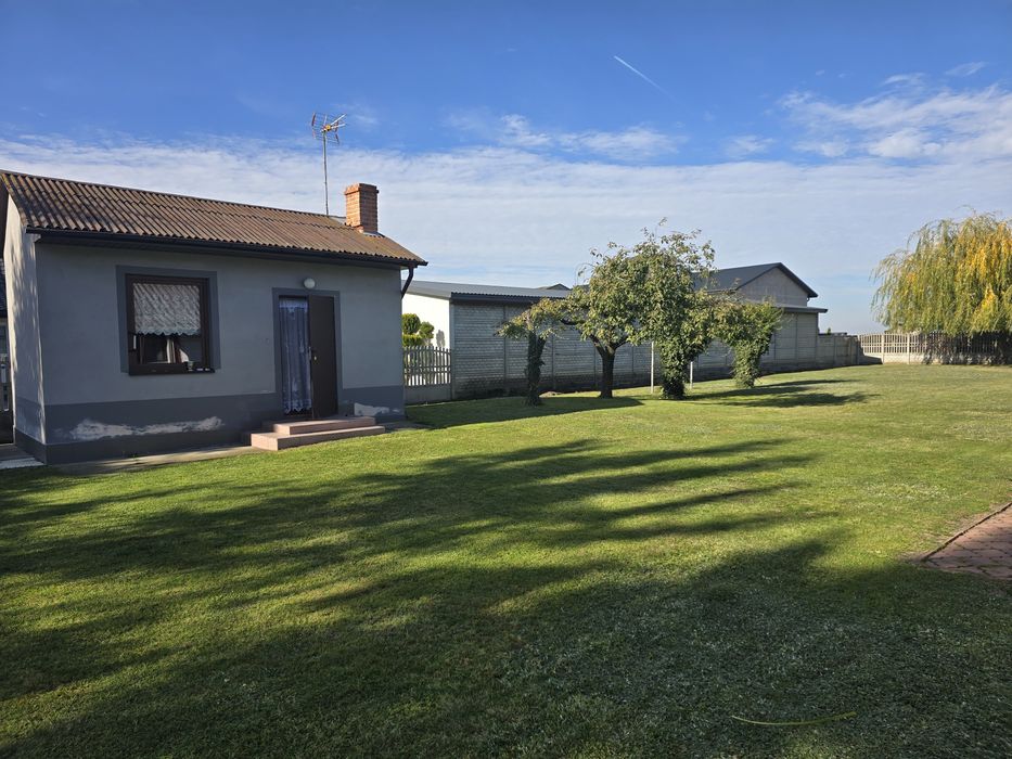 Sprzedam siedlisko- Lisiewice Małe 1700 m² - Widok 5