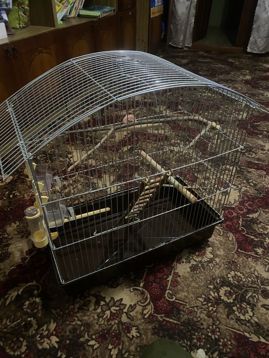 Клітка для середнього Папуги