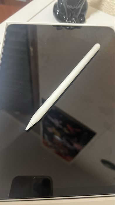 iPad Pro (2021, M1 series) + Apple Pencil