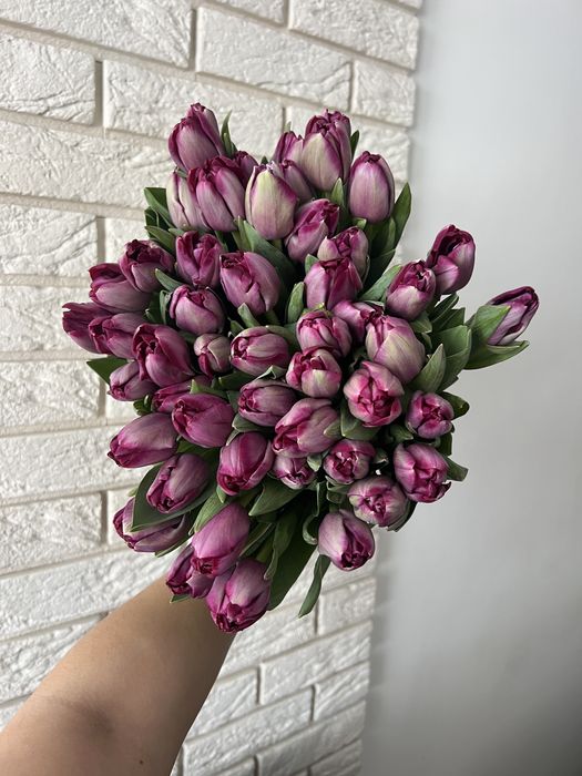 Тюльпани, квіти, день закоханих святого валентина з доставкою Львів