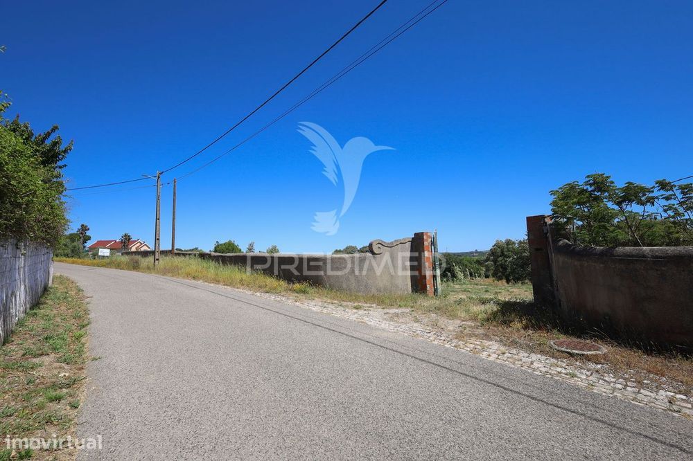 Quinta para construção de Moradia