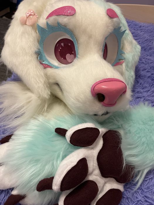 фурсьют собаки+платье(срочная продажа)