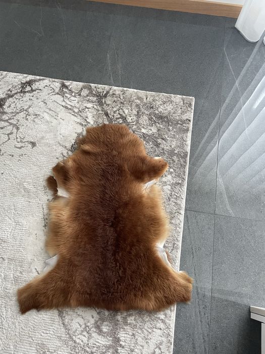 Tapetes em Pele Natural – Lote de 3