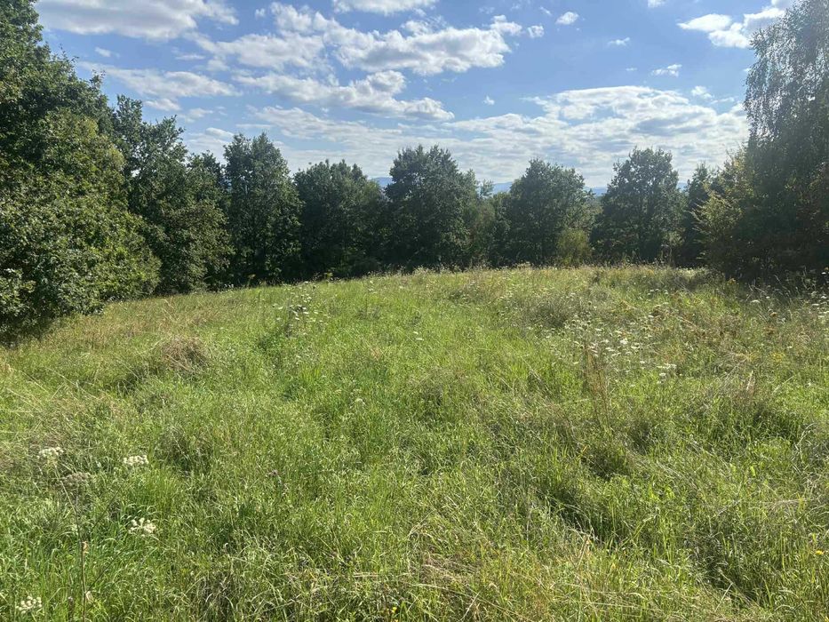 Sprzedam piękną widokową działkę budowlaną w Nowym Wiśniczu