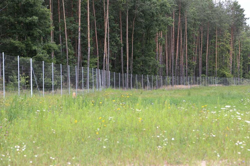 Montaż ogrodzenia tymczasowego / terenu budowalnego /siatka leśna
