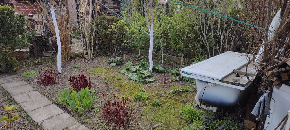 Sprzedam działkę ogrodową