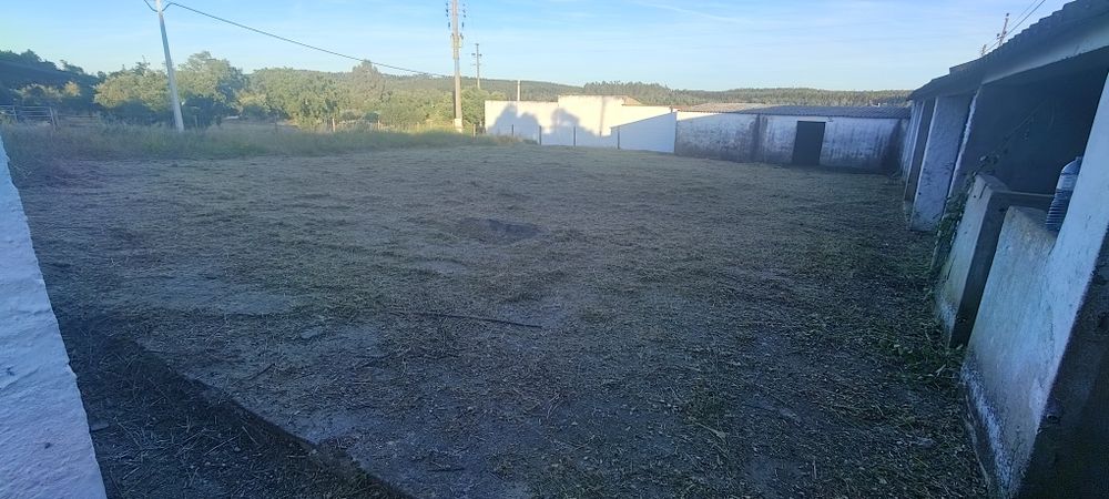 Limpeza de terrenos