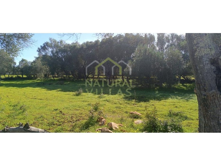 Terreno Rústico Plano em Quelfes, Olhão — Quelfes, Faro
