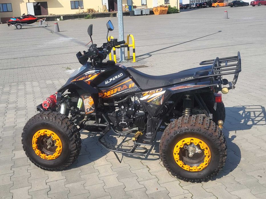 Quad Alfarad Cobra 250 cc  , zarejestrowany , Bashan