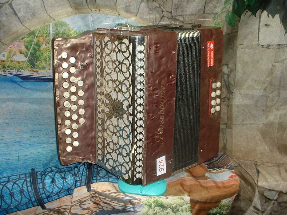 Concertina para venda N, 924