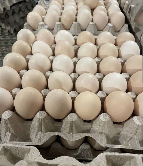 Jaja wiejskie z dowozem pod dom na zamówienie rozmiar XL