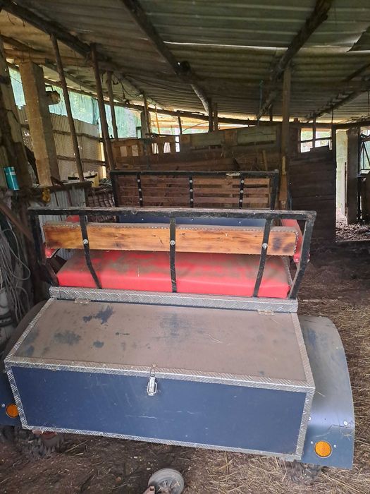 Carroça de cavalos