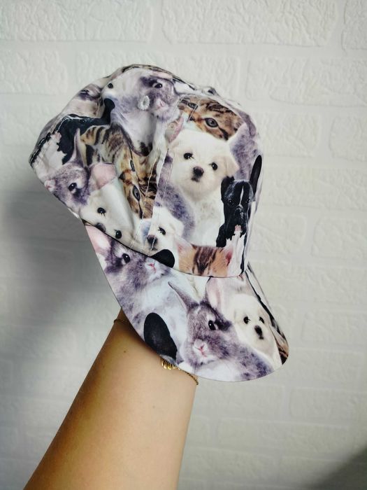 Czapka z daszkiem bejspolówka H&M 110 116 kotki pieski 4-6lat