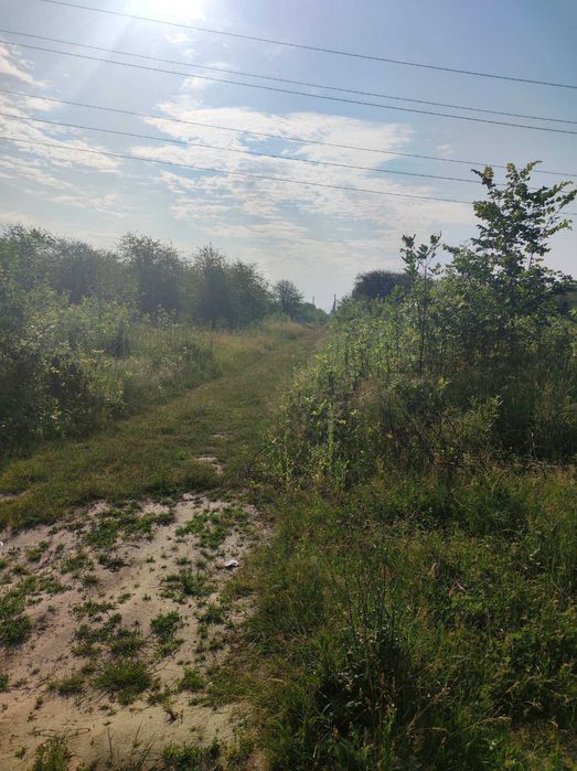 Продам 1,5 ГА земли в Боярке под товарное сельское хозяйство