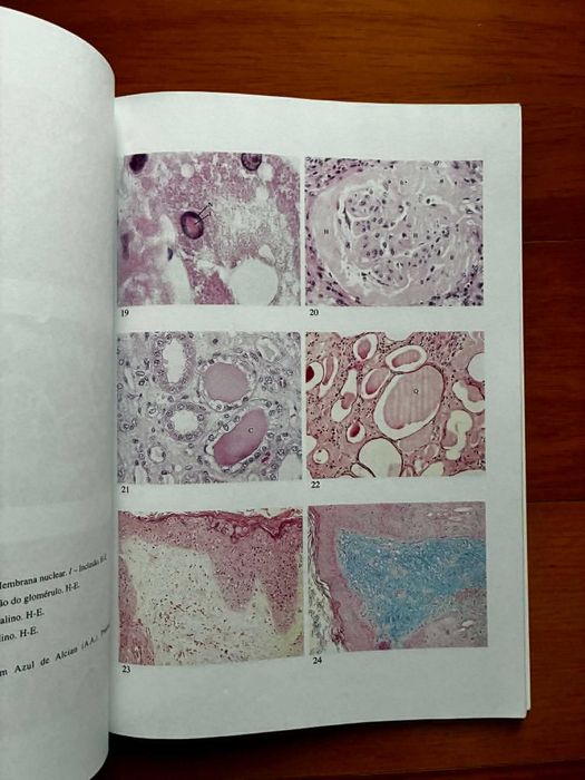Caderno de Aulas Práticas de Patologia Geral