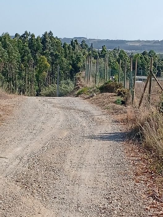 Terreno Peniche Rústico 8mil metros quadrados em Peniche