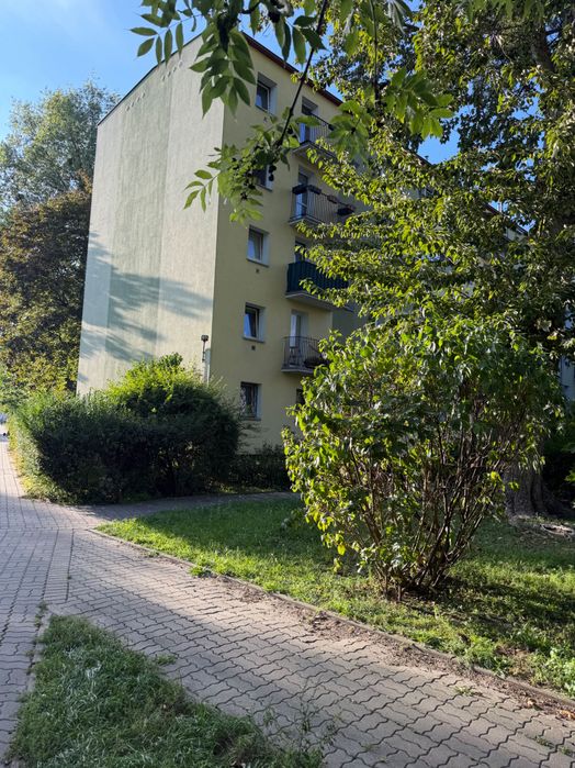Zdjęcie 5