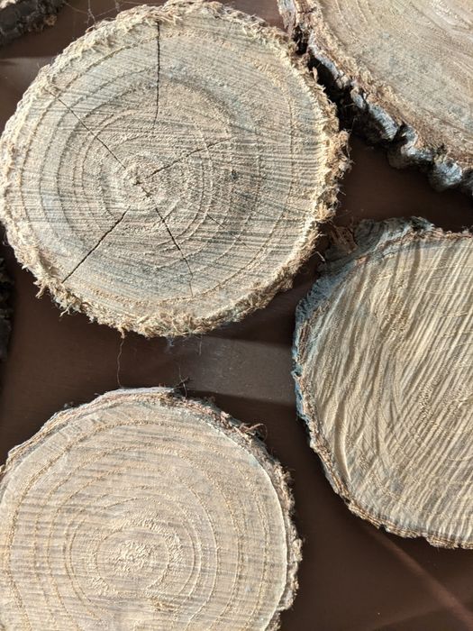 Продам деревянные  спилы акации.