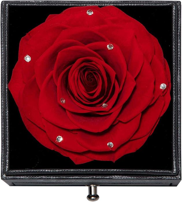 Rosa preservada com corrente de prata